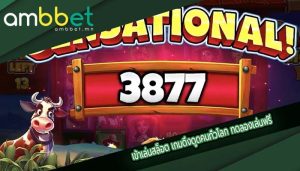 เข้าเล่นสล็อต เกมดึงดูดคนทั่วโลก ทดลองเล่นฟรี
